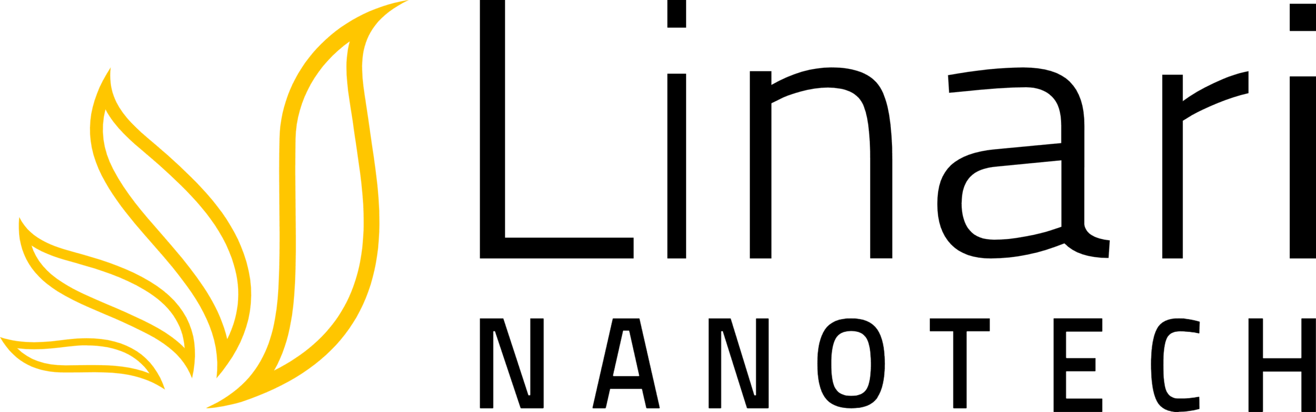Logo Linari Nanothech